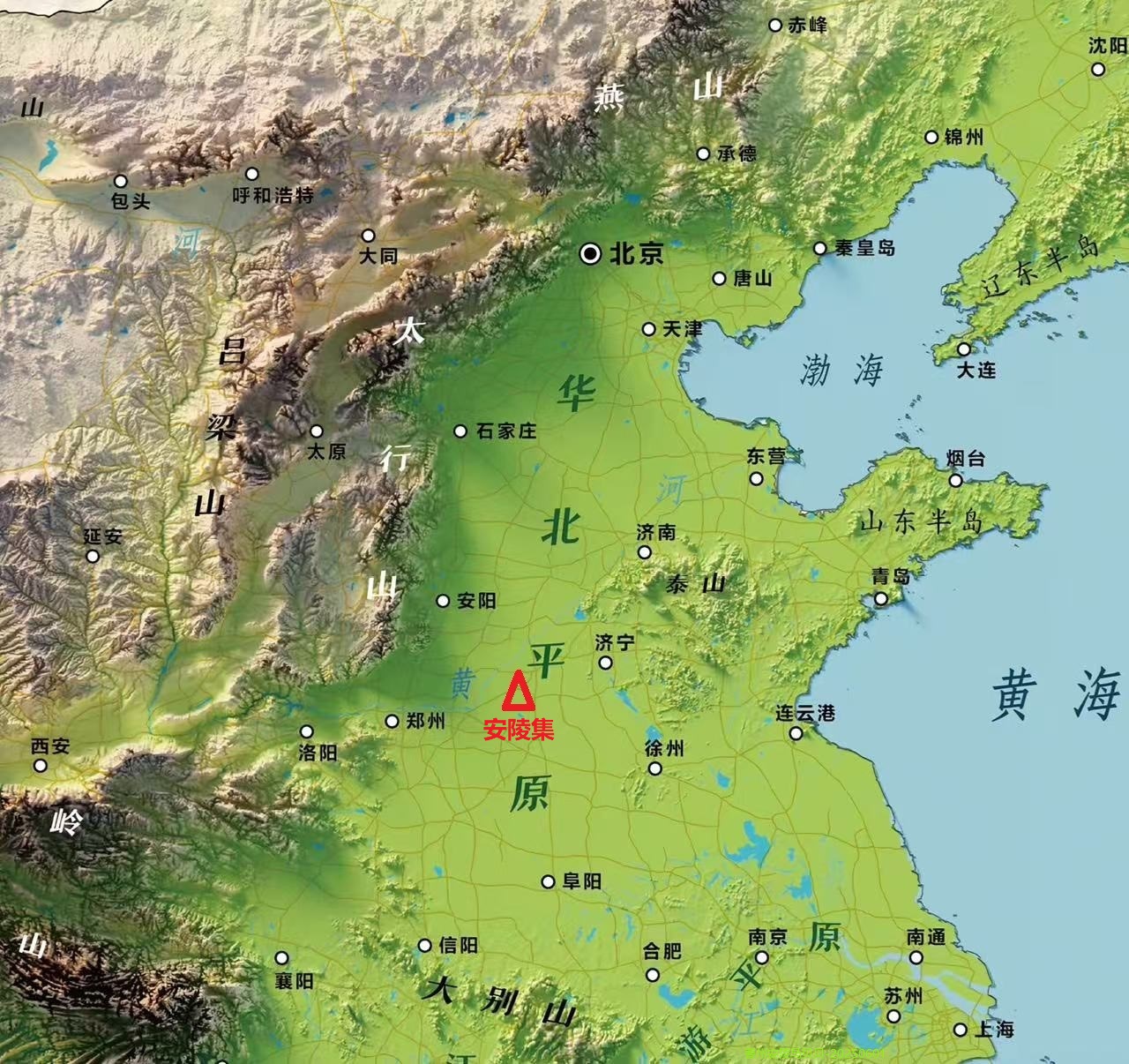 安陵村华北平原3D地形图